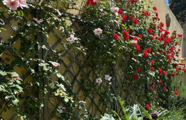 La Limonaia Firenze - Photo 3