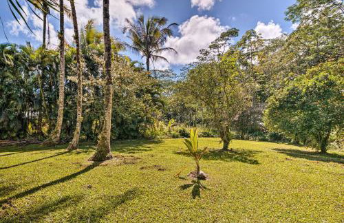 Sunny Pahoa Retreat Snorkel, Hike and Shop! - Foto 34