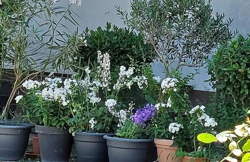 Landpartie - Foto 30