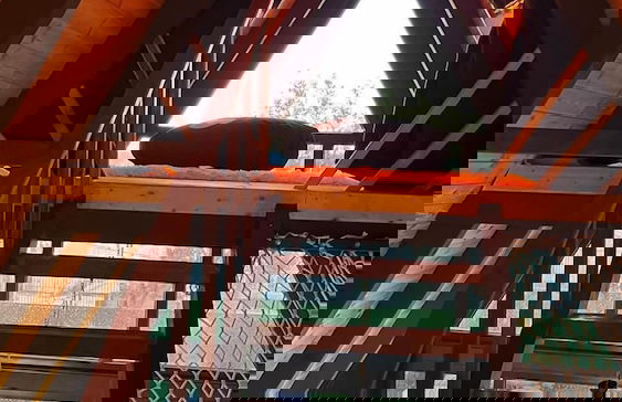 Tiger House 3 Oda - Foto 1