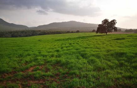 Finca el Vizconde - Naturaleza con tus hijos - Foto 41