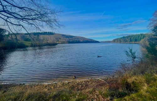 Le Chalet de Lintignat - Foto 28