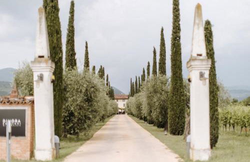 Dimora Buglioni Wine Relais - Foto 52