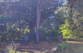 Camping Le Marche Apartments - Foto 30