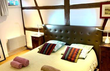 Gite "Au coeur de Riquewihr - vue sur le vignoble" à Riquewihr - Foto 5