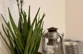 Kathi´s Allgäuliebe - Foto 6