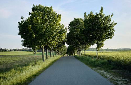 Apartment B12 Balkon mit Naturblick & Nutzung der Wellness- & Aktivbereiche im Pine Hill Resort - Foto 39