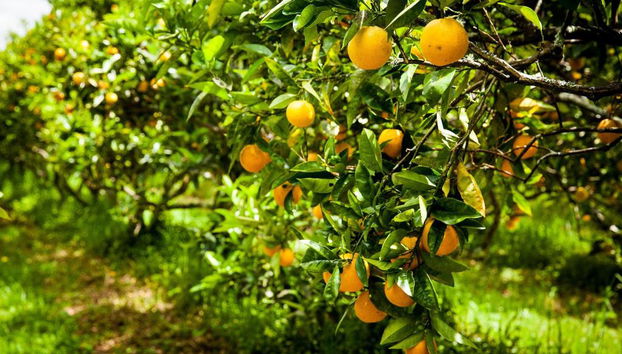 Relax A Lodge - Foto 2