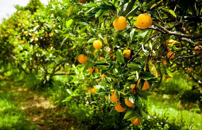 Relax A Lodge - Foto 2