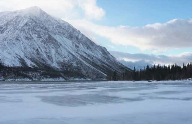 Escursione al Parco Nazionale di Kluane - Foto 1
