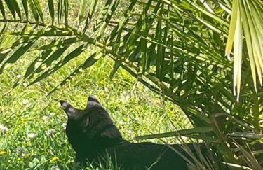 Studio meuble neuf - Foto 18