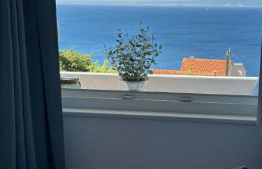 Sunshine Residence - Foto 50