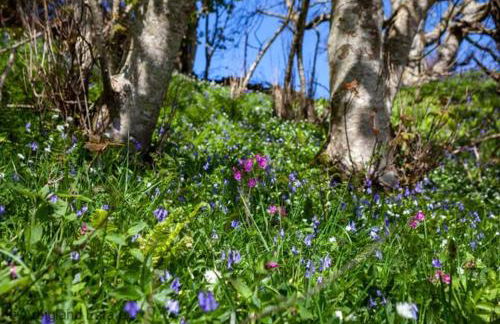 Beachcombers - Foto 58