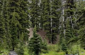 Mt. Bachelor & Sun River Get Away - Foto 56