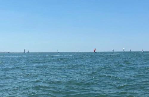 Les volets verts - Foto 31