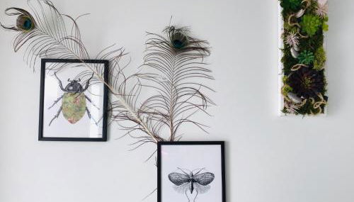 LE COSY LOIRE appart - Photo 4