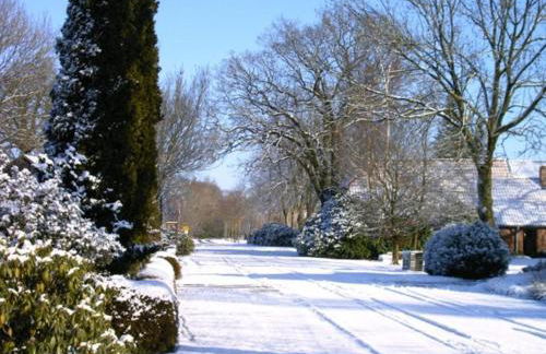 Ammerländer Ferienwohnung - Foto 19
