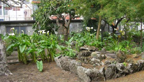 Il Giardino - accomodation - Foto 2, Garden view