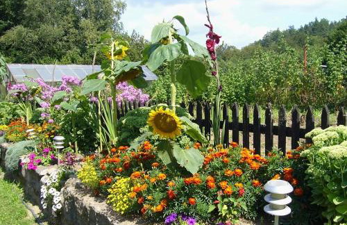 Comfortable holiday villa with fireplace, garden - Foto 27