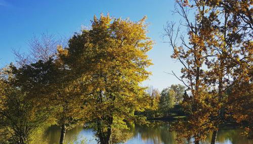 Zirbenholz Tiny House "Waldhauszeit" am See - Foto 3