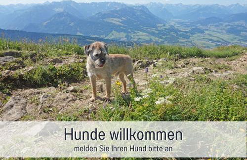 Biohof Burger, 3 sonnige Fewo, alle mit Balkon, Spielzimmer, Grillhütte, 7 km vor Oberstdorf - Photo 3