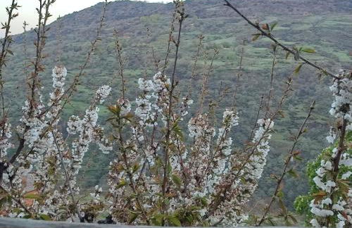 Casa Alpujarreña Fina Número 27 - Photo 26