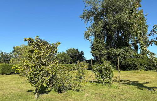 Gîte La Noec - Foto 21