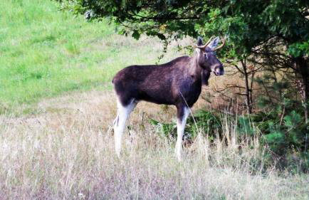 Mazurski Raj - Komfortowy dom nad jeziorem - Foto 53