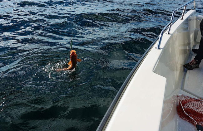 Holiday Home in Austrheim - Foto 15