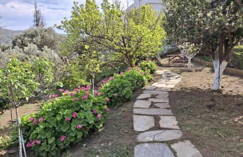 Flower house - Foto 37