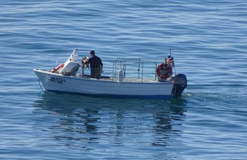 Casa Afonso Henriques - Foto 44