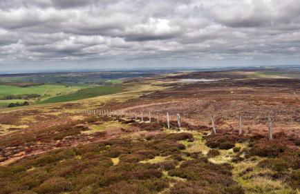 Carrs Cottage, Westgate in WEARDALE - Photo 25