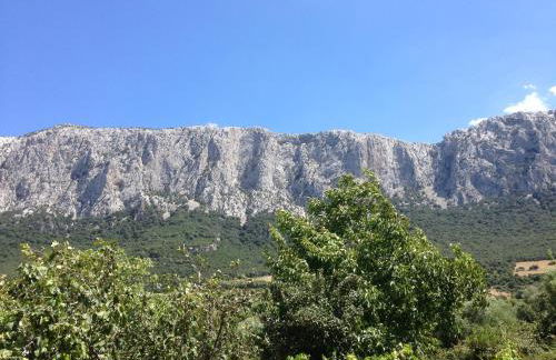 Casa Corofulu Oliena - IUN P2139 - Foto 6