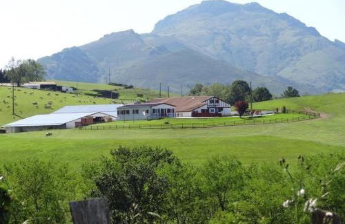 Pena plata - Foto 21