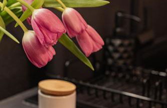 ALEXBAD Ferienwohnungen - Foto 47