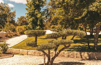 Moinho da Lapa - Foto 8