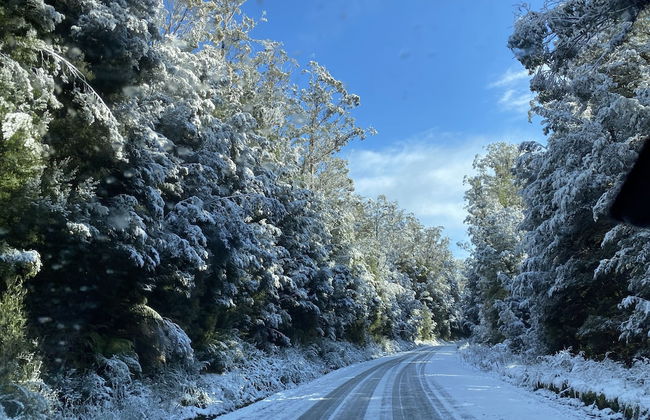 Giants Table and Cottages - Foto 46