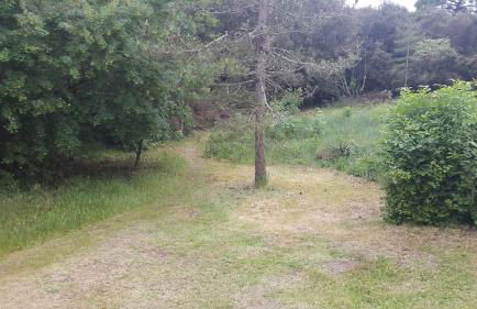 Charmante maison vendéenne proche de la plage - Photo 38