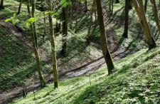 Apartament Centrum przy Parku Zdrojowym - Foto 17