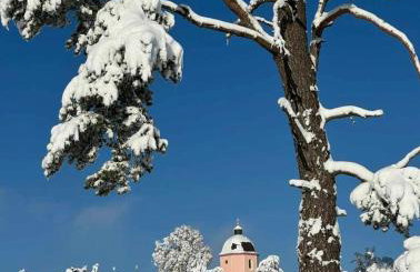 Ferienwohnung zum Sepp - Foto 20