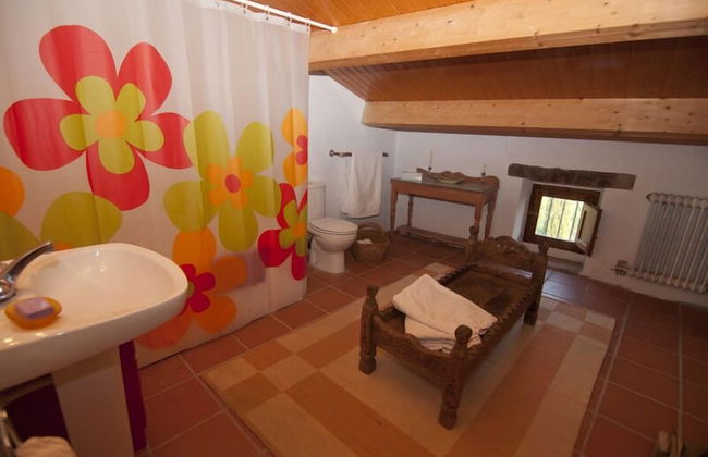 Celler Colltor - Photo 7