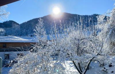 Zum Kistlerwirt - Foto 31