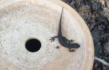 LELE-LAKE super domek Mazury - Photo 31