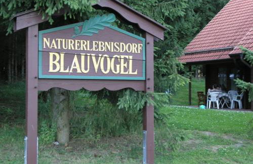 Ferienhaus Nr 32, Typ A, Ferienanlage Blauvogel, Hasselfelde, Harz - Foto 14