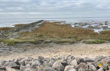 Frieda - Ferienwohnung mit Deichblick - Foto 39
