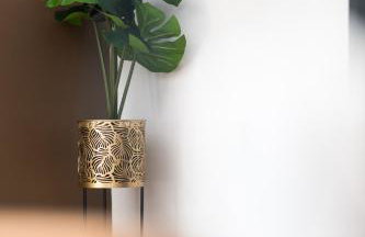 La Terra Nostra city - Foto 20