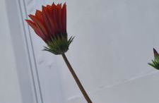 Caldas Relax & Leisure - Photo 2