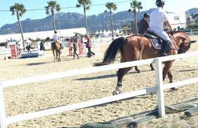 Chalet OLIVA NOVA - Photo 34