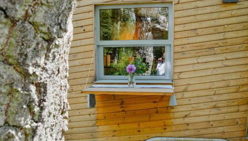 Tiny House By The Lake And An Artist Collective - Foto 4