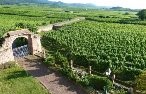 Domaine du Bouxhof - Foto 8